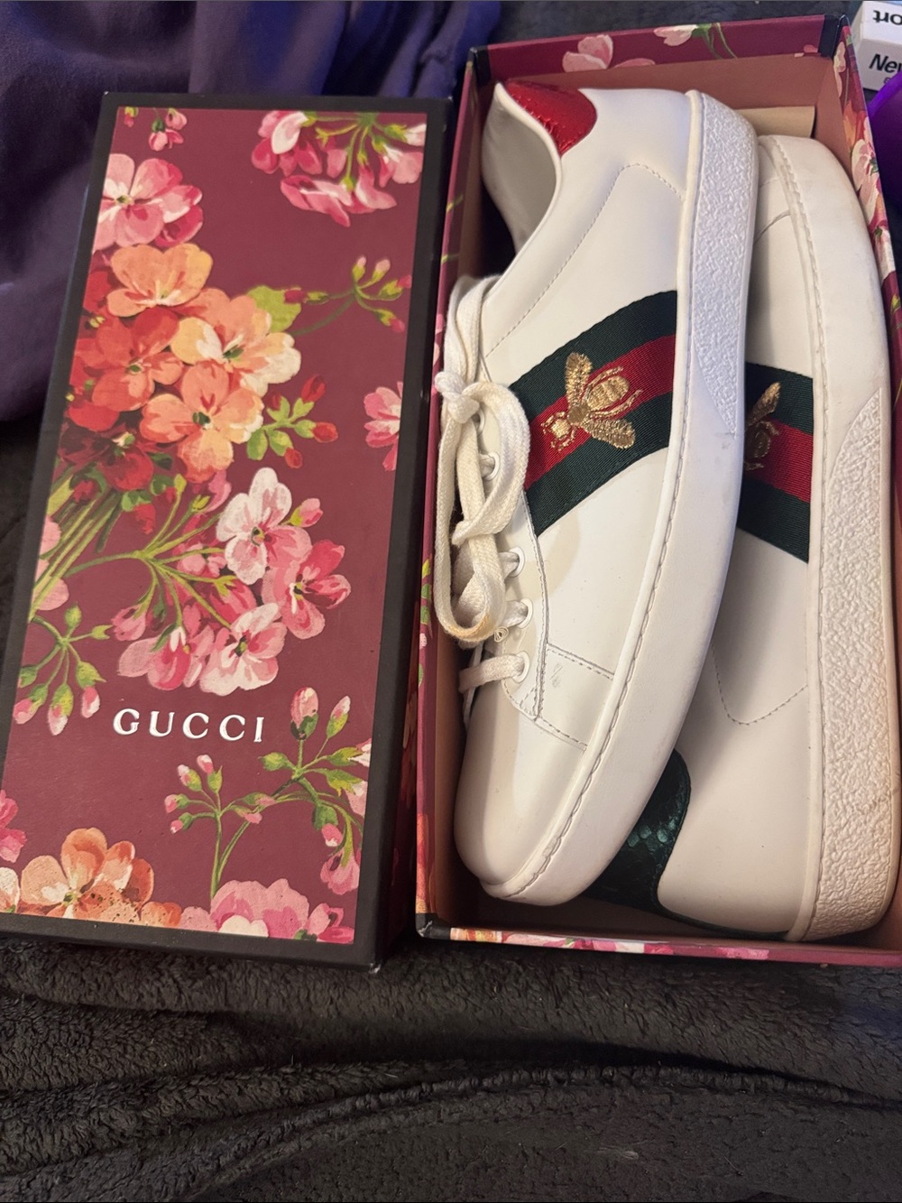 Gucci White Leather Bee Sneakers with Green and Red Web